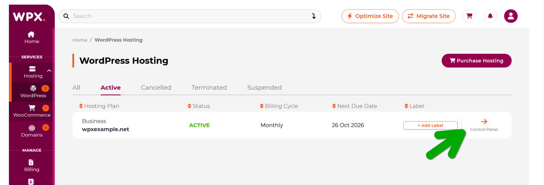 To access WPX panel, just click "Control Panel" right next to your website name.