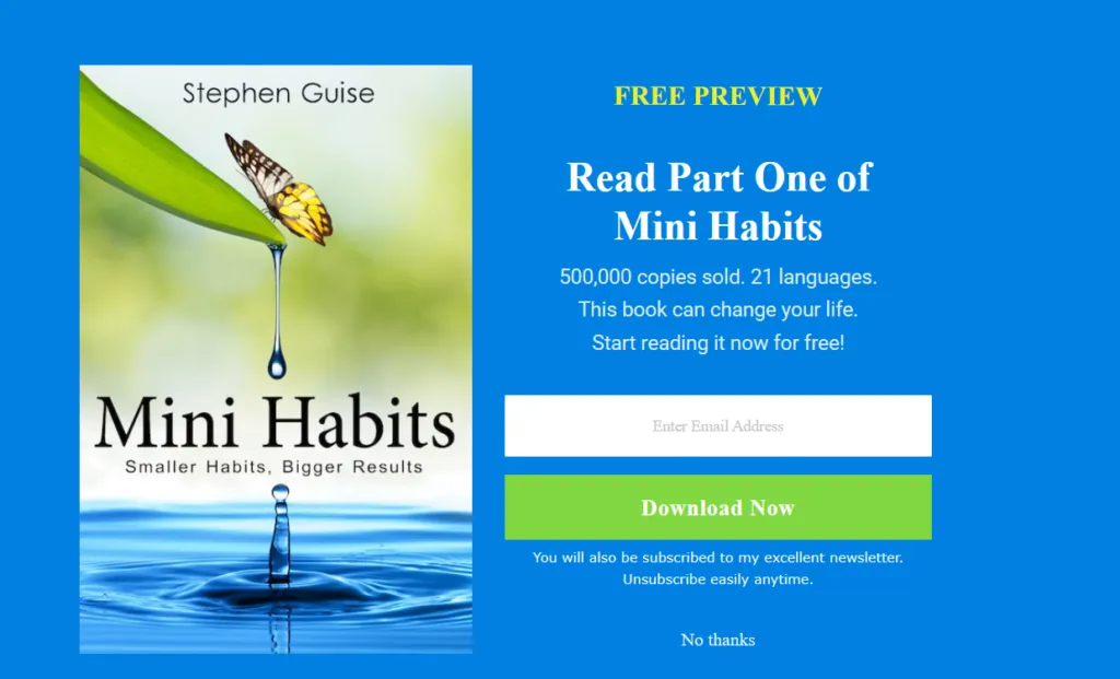 reader-magnet-example